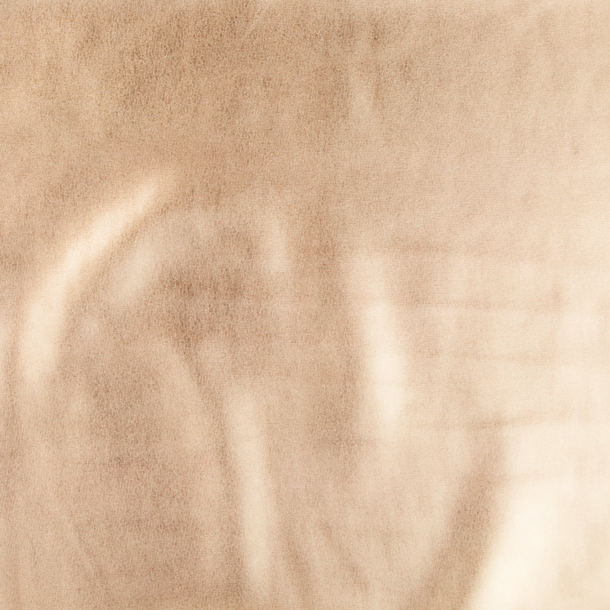 FILOMORPHOSIS Collarino Florio (FF14)