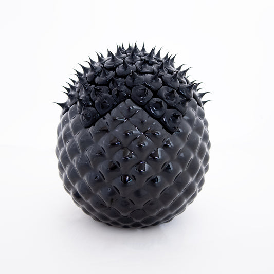 PIGNA home accessories Total Black