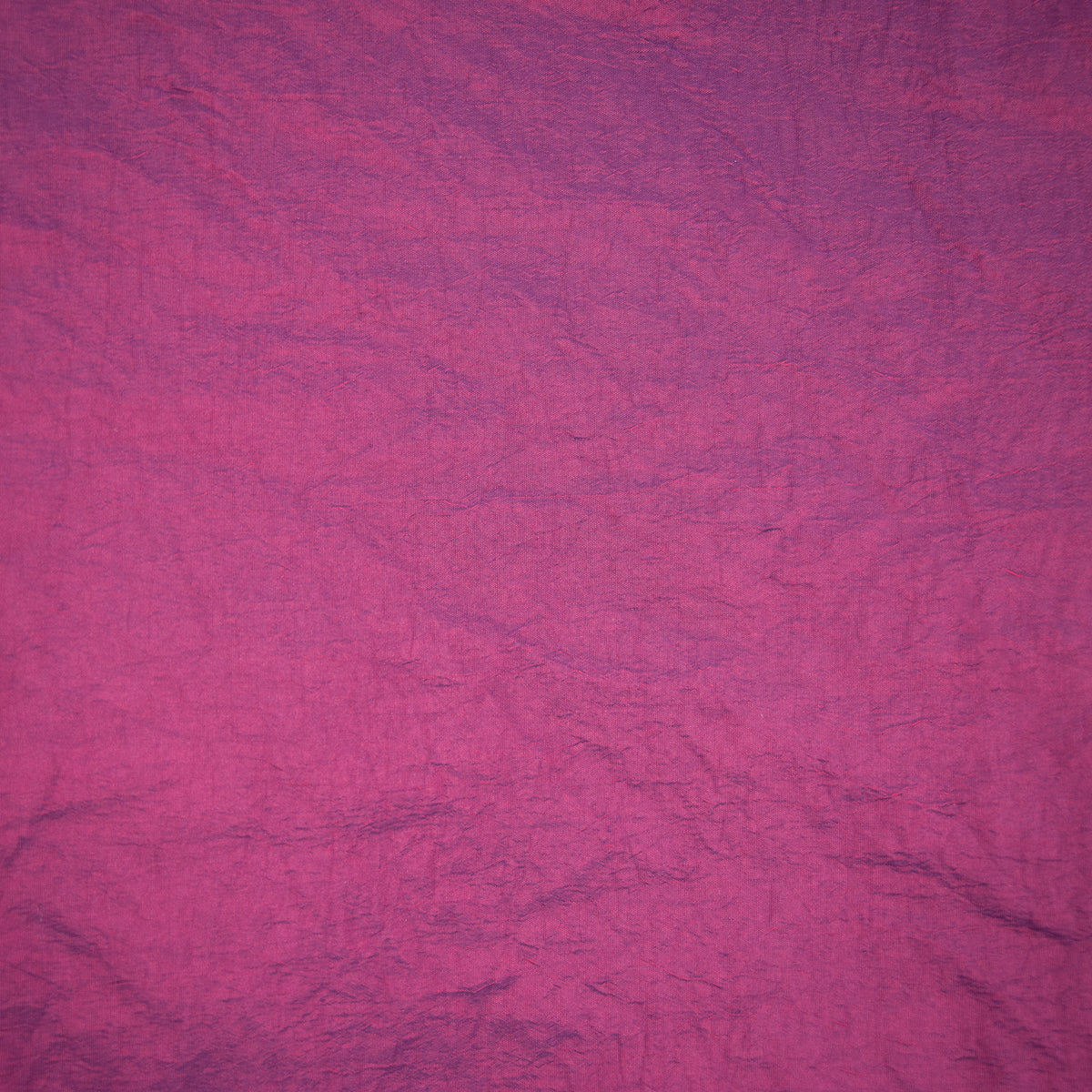 FILOMORPHOSIS Collarino Florio (FF05)